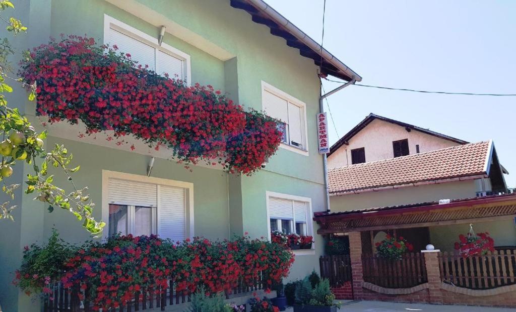 Ana Apartment Gracac  Exterior photo